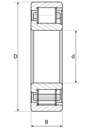 Technical diagram of a Sparex Cylindrical Roller Bearing (NUP211) - S.43447, showing its internal structure with dimensions labeled as D, d, and B (55mm x 100mm x 21mm).