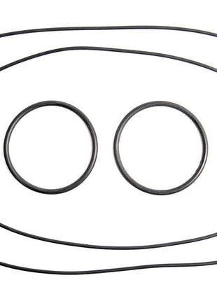 Brake O Ring Kit, Massey Ferguson | Sparex Part No.S.43484