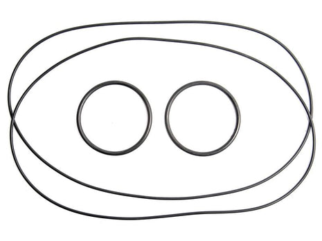 Brake O Ring Kit, Massey Ferguson | Sparex Part No.S.43484