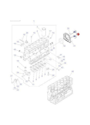 Massey Ferguson - Housing Rear Crankshaft c/w Seal - 4224532M1 - Farming Parts