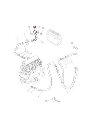 Massey Ferguson - Heater Hose - 3701466M1 - Farming Parts