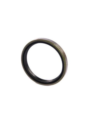 Massey Ferguson - Spigot Shaft Seal - 1860867M5 - Farming Parts