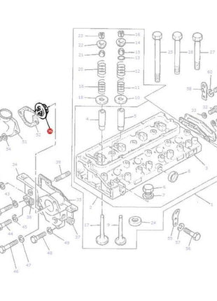 Massey Ferguson - Thermostat - 1446165M91 - Farming Parts