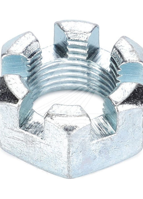 Slotted Nut - 70918787 - Massey Tractor Parts