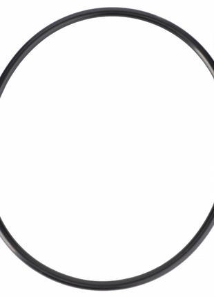 A black rubber O-ring photographed against a white background, reminiscent of the Massey Ferguson - O-Ring - 378231X1, a reliable component from AGCO.