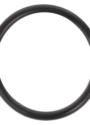 Massey Ferguson - Pump O Ring - 359229X1 - 70925639 - Farming Parts