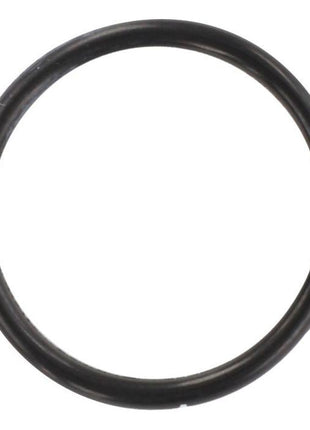 A black rubber O-ring, essential for Massey Ferguson tractor parts, is shown on a white background. This product is listed as the Massey Ferguson - ORing - 1888706M1 - 70930897 by AGCO.