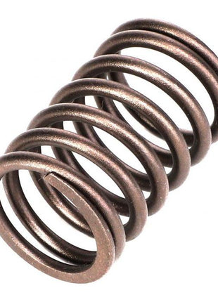 Massey Ferguson - Valve Spring - 731154M1 - Farming Parts