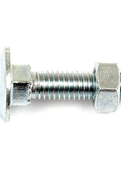 Metric Carriage Bolt and Nut, M10x90mm (DIN 601/934) | S.8277 - Massey Tractor Parts