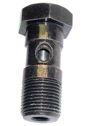 Close-up of a Banjo Bolt (Sparex Part No. S.1768) with a hexagonal head and threaded shaft, commonly used in Massey Ferguson tractors. There is a hole through the body of the bolt.