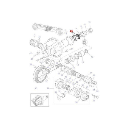 Bearing Differential - 339394X1 - Massey Tractor Parts