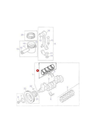 Bearing Kit Conrod - 736950M91 - Massey Tractor Parts