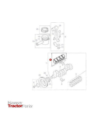 Massey Ferguson Bearing Kit Conrod - 736950M91 | OEM | Massey Ferguson parts | Crankshafts & Pulleys-Massey Ferguson-Block Components,Connecting Rod Bearings,Engine & Filters,Engine Bearings,Engine Parts,Farming Parts,Tractor Parts