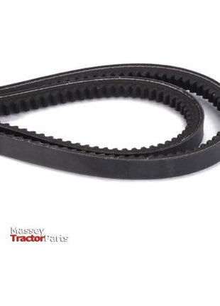 Belt PROP. PUMP AND HYDR. PUMP - D41990013 - Massey Tractor Parts