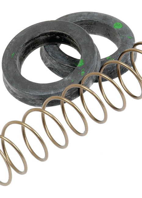 Two black rubber washers paired with a coiled metal spring are included in the Sparex Brake Slave Cylinder Repair Kit (S.42324).