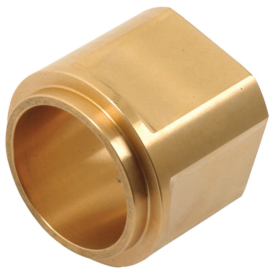 Bush (Sparex Part No.S.60449) by Sparex, a brass hexagonal pipe fitting with a smooth finish and visible inner threading, ideal for Ford New Holland and Massey Ferguson applications.