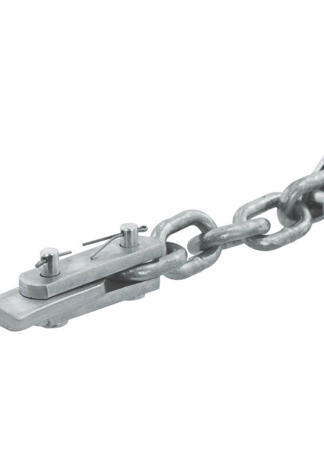 Check Chain Assembly
 - S.42072 - Massey Tractor Parts