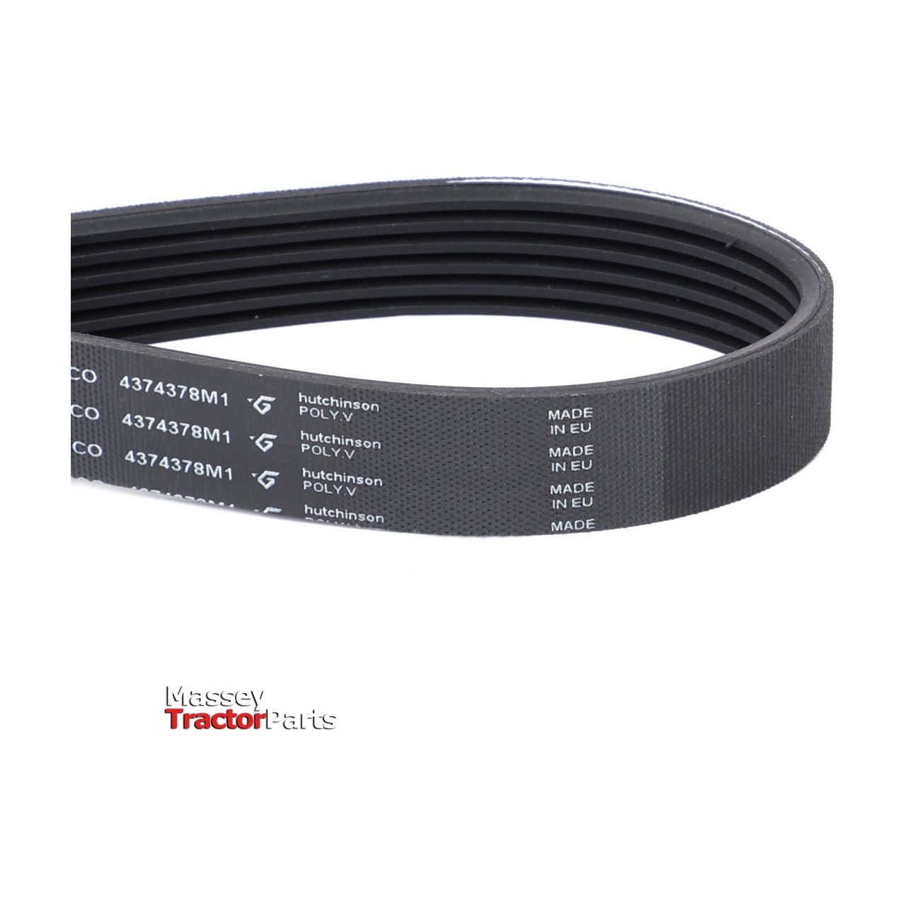 Massey Ferguson Drive Belt - 4374378M1 | OEM | Massey Ferguson