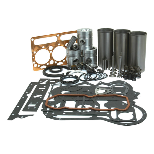A neatly arranged Engine Overhaul Kit with Valve Train (Finished) - S.40372 by Sparex, featuring pistons, gaskets, valve springs, and rings for a Perkins Engine on a white background.