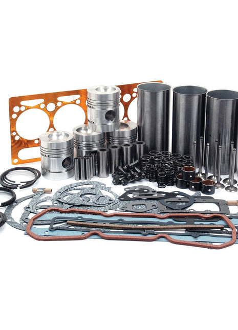 A neatly arranged assortment of engine parts, including pistons, gaskets, seals, and components for the valve train from the Engine Overhaul Kit with Valve Train (Chrome) - S.40386 by Sparex, displayed on a white background.