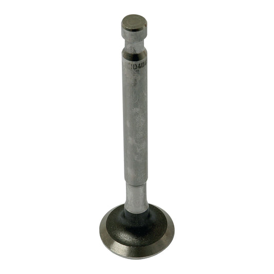 A metal engine valve, identified as the Exhaust Valve Standard with Sparex Part No. S.40484, is shown standing vertically against a plain white background.