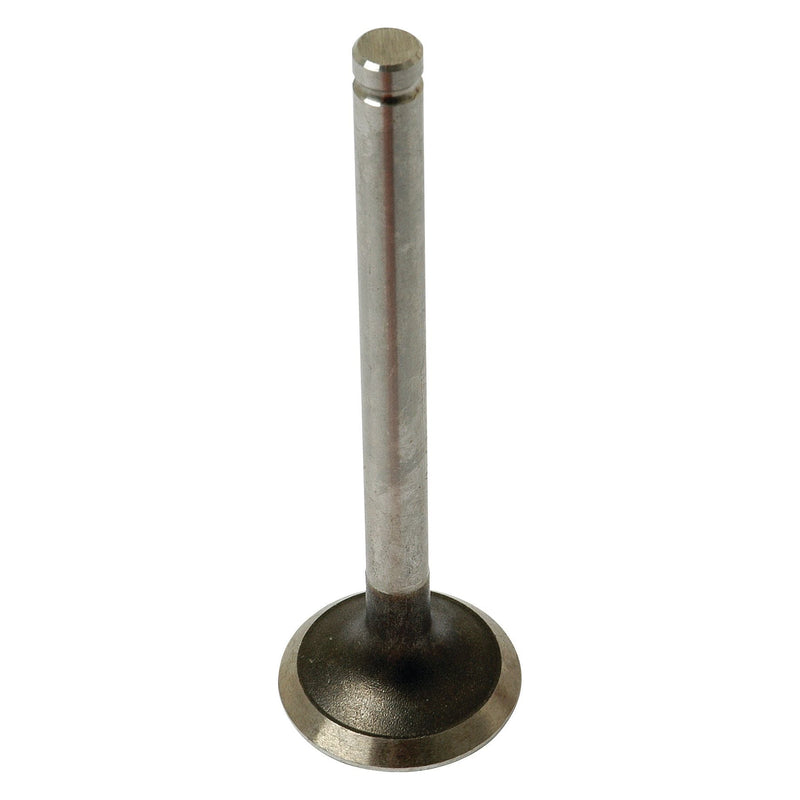 A single Sparex Exhaust Valve Standard (Sparex Part No. S.41745) is shown standing upright against a plain white background.