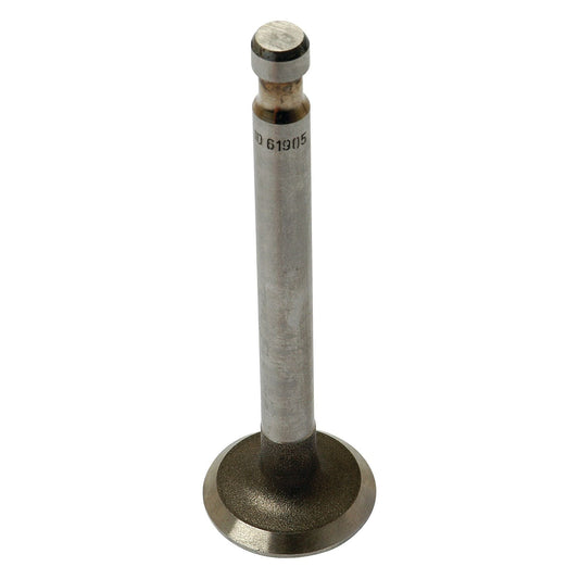 Close-up image of a Sparex Exhaust Valve Standard (Part No. S.61905) with a cylindrical stem and disc-shaped head, isolated on a white background, commonly used in Landini and Massey Ferguson machinery.