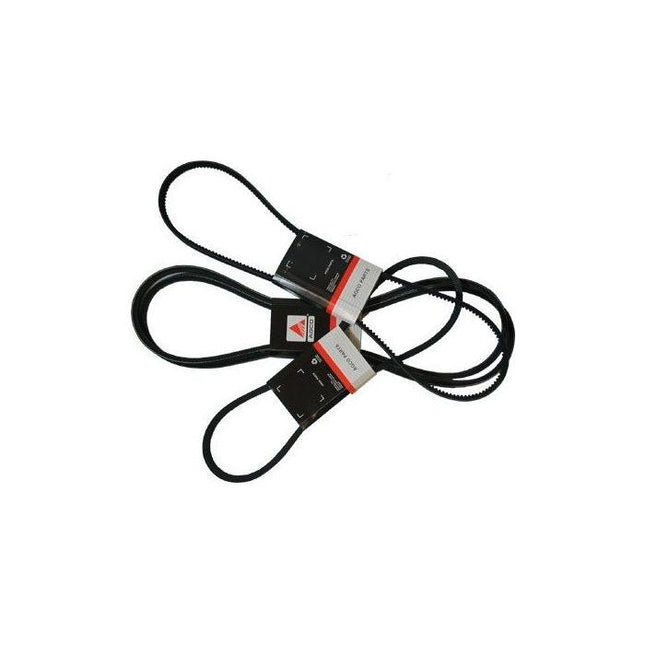 Two black AGCO V-belts for a vehicle, packaged with red and white labeling. These belts are designed to meet the rigorous standards of Case/IH and Massey Ferguson equipment, specifically named as Massey Ferguson - Fan Belt - 3617184M91.