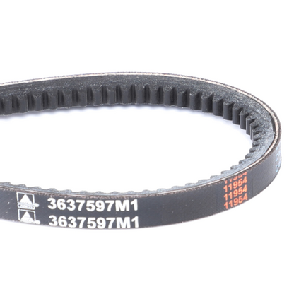 An AGCO Massey Ferguson fan belt, part number 3637597M1, designed for 300 Series tractors and featuring additional markings "1195" and "4," is displayed against a white background.