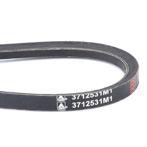 Close-up view of a black AGCO fan belt with the printed label "3712531M1" on it, compatible with the Massey Ferguson 8200 Series.