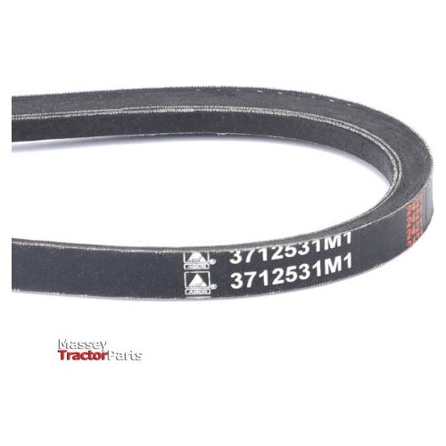 A close-up image of a black AGCO Massey Ferguson fan belt, compatible with the 8200 Series, featuring the part number 3712531M1 printed on it.