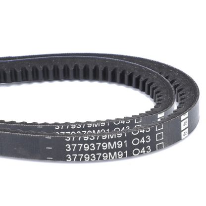 Fan Belt - 3779379M91 - Massey Tractor Parts