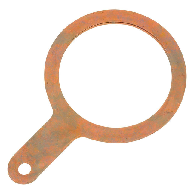 The Follower (Sparex Part No. S.41859) by Sparex is a rusty flat metal gasket featuring a circular middle and a tab with a hole on one end, designed for use in Landini machinery.