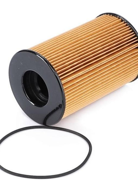 Fuel Filter - 4225393M1 - Massey Tractor Parts