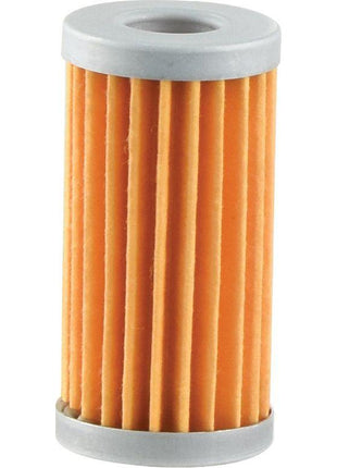 Fuel Filter - Element -
 - S.154202 - Massey Tractor Parts