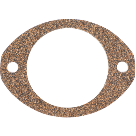 Gasket Filter - 3809698M1 - Massey Tractor Parts