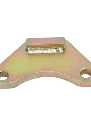 Hook Retaining Plate
 - S.41305 - Massey Tractor Parts
