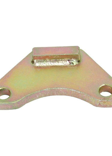 Hook Retaining Plate
 - S.41305 - Massey Tractor Parts