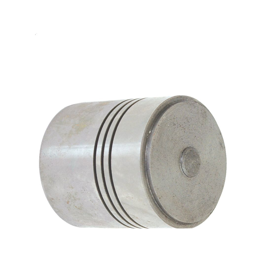 A close-up image of the Hydraulic Cylinder Piston by Sparex (Part No. S.42173) showcases three parallel grooves encircling its cylindrical metal body.