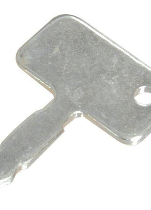 Ignition Key
 - S.3989 - Massey Tractor Parts