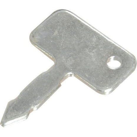 Ignition Key
 - S.3989 - Massey Tractor Parts