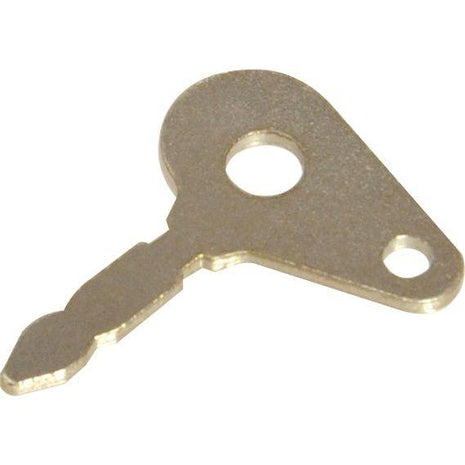 Ignition Key
 - S.3990 - Massey Tractor Parts