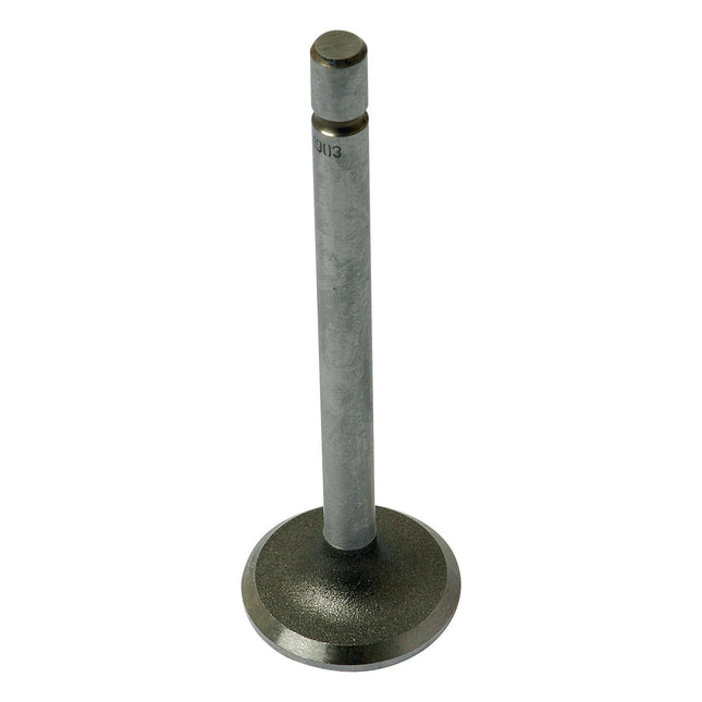 The Sparex Inlet Valve (Sparex Part No.S.61903) is specifically designed for the Massey Ferguson 135, featuring a cylindrical stem and a flat, circular head.