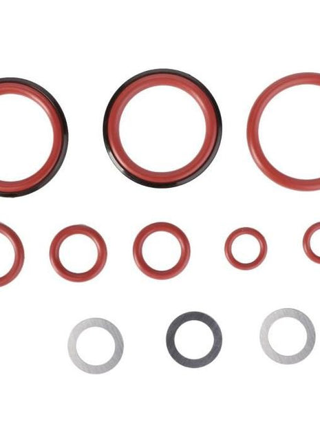 Joint Kit Auxiliary Distributor - 3907028M91 - Massey Tractor Parts
