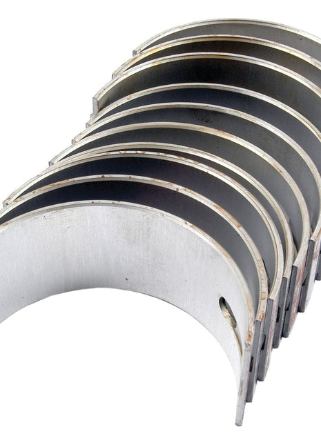 A set of Sparex Main Bearing Std. (S.42918) is arranged in a semicircular stack, each bearing uniformly aligned, perfect for Perkins and Massey Ferguson machinery.