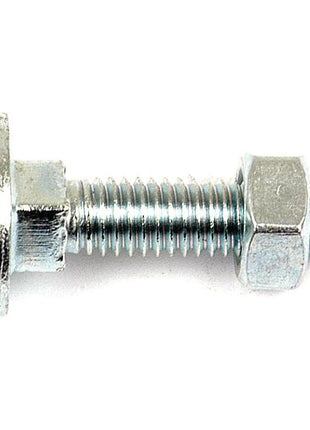 Metric Carriage Bolt and Nut, Size: M10 x 40mm (Din 603/555)
 - S.8268 - Massey Tractor Parts
