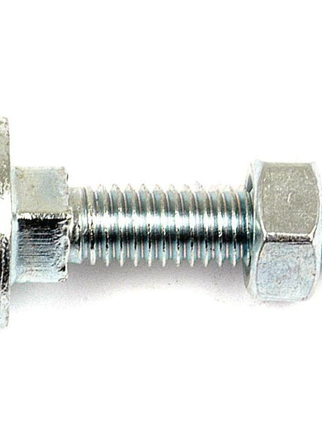 Metric Carriage Bolt and Nut, Size: M10 x 40mm (Din 603/555)
 - S.8268 - Massey Tractor Parts