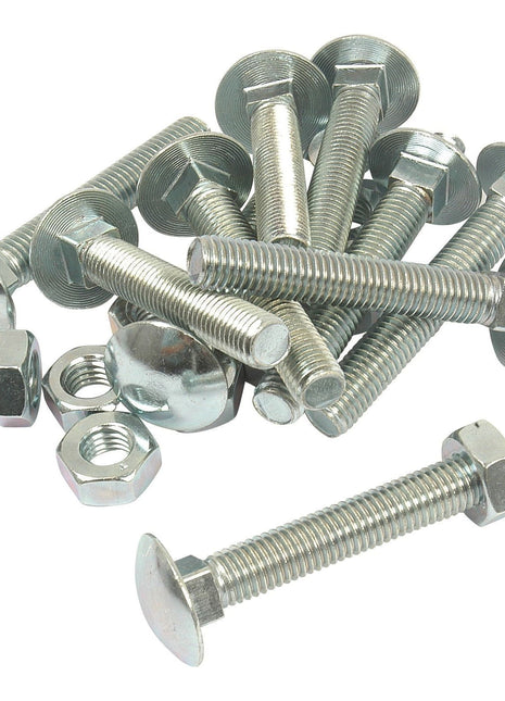 Metric Carriage Bolt and Nut, Size: M10 x 65mm (Din 603/555)
 - S.8273 - Massey Tractor Parts