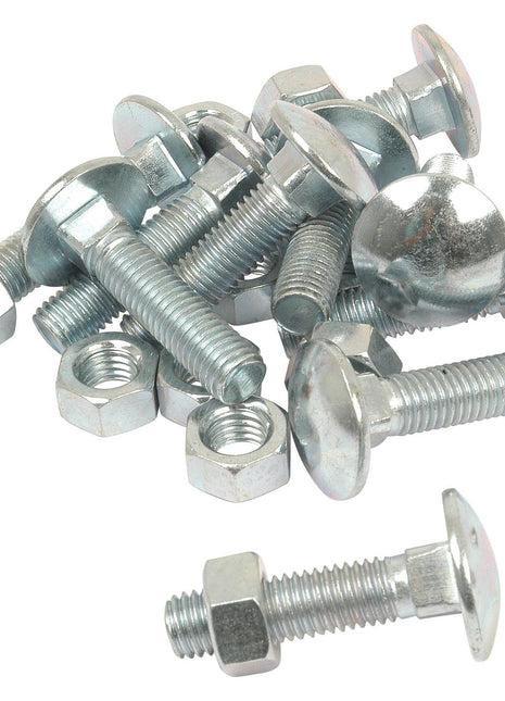 Metric Carriage Bolt and Nut, Size: M12 x 50mm (Din 603/555)
 - S.8299 - Massey Tractor Parts