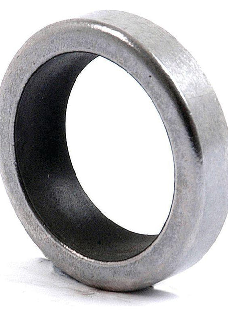 Metric Rotary Shaft Seal, 25 x 35 x 10mm
 - S.43102 - Massey Tractor Parts